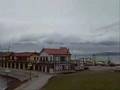 Wellington