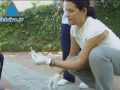 Battling To Keep Tel Aviv's Streets Clean - A Pet Pooch DNA