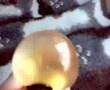 (uploaded by Toxicity)&nbsp;Smash-it Stress Relief Jelly Soft Ball