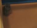 videos de Undramatic Hamster