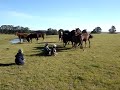 cabanha a tala