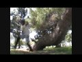 Unicycling video - unicycle crashes, bails and bloopers