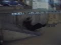 Slam Arne Radio Skateboards - Bernd 2000
