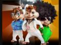 Gino pietermaai ft Ferdi ft Youssef ft Kamal at 101 Barz CHIPMUNKS