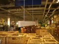 rollercoaster by major maker