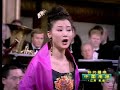 erhu in Songjoyoung concert