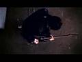 Eskimo Joe - Black Fingernails, Red Wine (from TV)