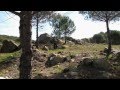 ANDAINAS POR EL SUR (ABRIL 2012). P.N Alcornocales. Cerro Montecoche