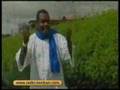 Amadou Acordeon