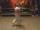 Gary & Sara Boon | Beach Boogie 2005 | Lindy Hop