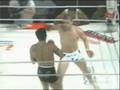 FREE-FIGHT