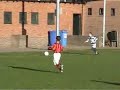 Robin in actie