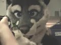 Anthrocon 2008 - Vincent