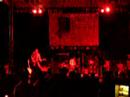 nonsolorock zen circus nonsolorock zen circus