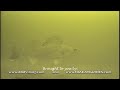 Marcum Winter Walleyes