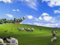 Payday Monsanto - We the Sheeple of Amerika