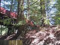Tilden Park Steam Action