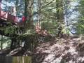 Tilden Park Steam Action