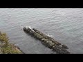 March Weekend in St Johns Newfoundland