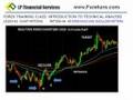 beginner currency forex trading