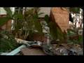 2008-12-29 | Videographer Ofer Cohen on Special Assignment to Hurricane Katrina ravaged Gulfp ~> Videographer Ofer Cohen and Reporter Dave Barker tell the incredible survival story of Mike Spence from Gulfport ... (04:59)