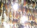 pontevedra leg-o-ham firesale
