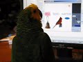 Typical First Expsoure to Digital Enrichment