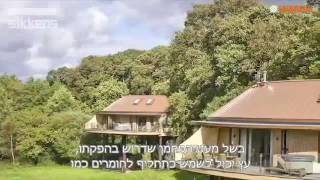 המדריך המקיף לטיפול ולצביעת עץ - פרק 1 - הכרות עם עולם העץ 