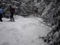 Vlad&ski manijaci -brezovica