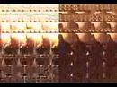 Equilibrium - Life is when we breed