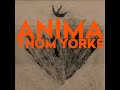 Tekst piosenki Thom Yorke - Dawn Chorus Tekst piosenki Thom Yorke - Dawn Chorus