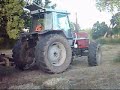 praca masseya fergusona 3125 i 255