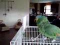 SOFOCLES, MI LORO PICARON