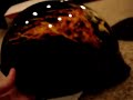 Flaming Skulls Half Helmet Flaming Skulls Half Helmet