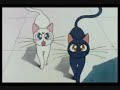 Sailor Moon Romance capitulo 69 1/2 español Sailor Moon Romance capitulo 69 1/2 español