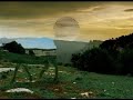 Spot Innovacarne