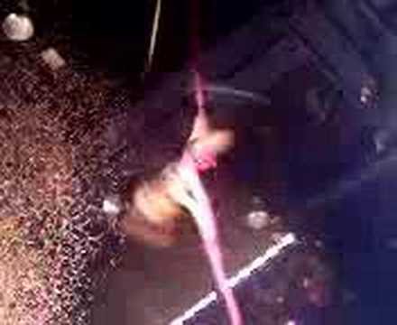 pink live 2006 cia