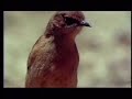 Heritage Of  Ethiopian Semien Mountains_part3of3