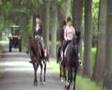 videos de Lits+Lauwers042 Skieppedrifte10