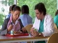 Green Wing - Fresh Sue-Shi?