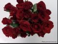 Alla Pugacheva - Million Alyh Roz