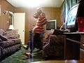 soulja-boy-just-got-my-reportcard.html