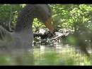 Ecocultura - Agua Dulce