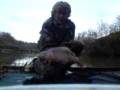 Small carp