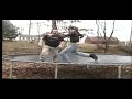 Revenge of the Turkey VI: Jake Tropf vs. the JDawg pt 1 or 2 Revenge of the Turkey VI: Jake Tropf vs. the JDawg pt 1 or 2