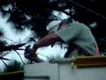Johnson Street Wire Fire