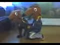 Faustball y joda en cordoba