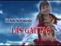 las gatitas del arpa aguita de putina