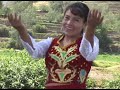 las gatitas del arpa aguita de putina
