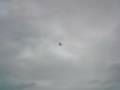 Semana da aviação